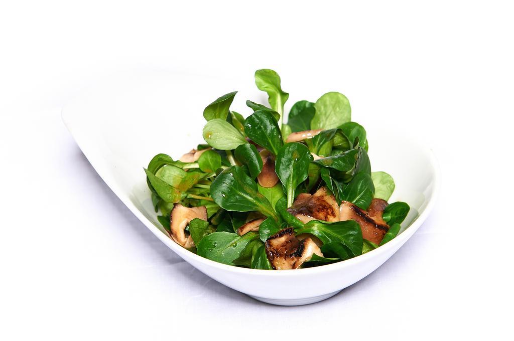 Vegan Hotel Und Restaurants Nicolay 1881 Hotel Zeltingen-Rachtig